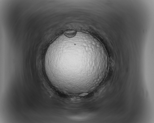 X0000085781489200703301413