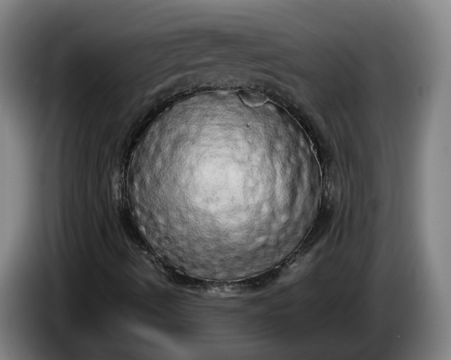 X0000085781490200703301413