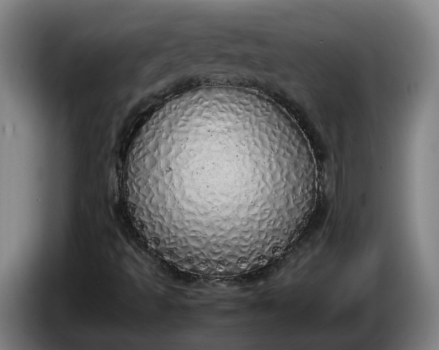 X0000085781493200703301413