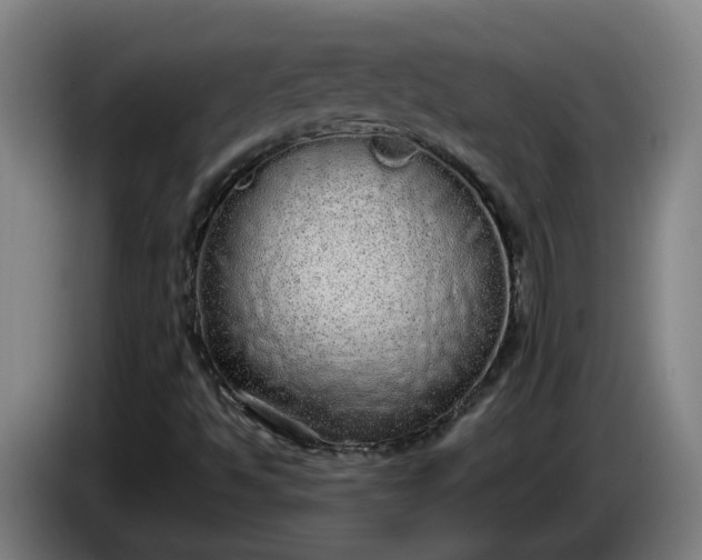 X0000085781494200703301413