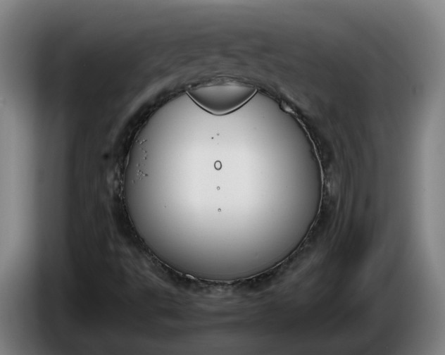 X0000085781495200703301413