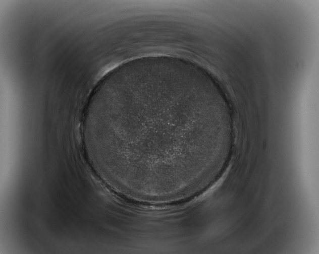 X0000085781497200703301413