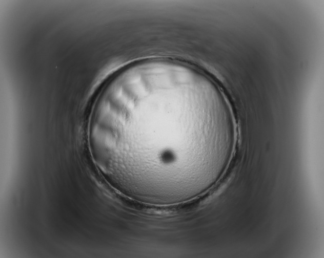 X0000085781501200703301414