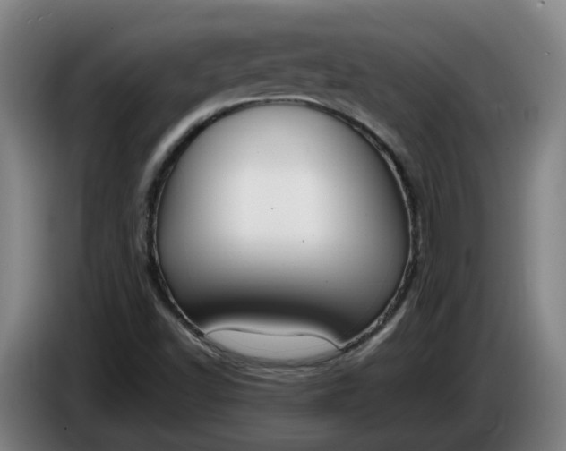 X0000085781502200703301414