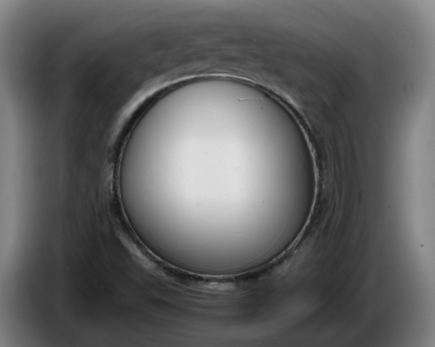 X0000085781503200703301414