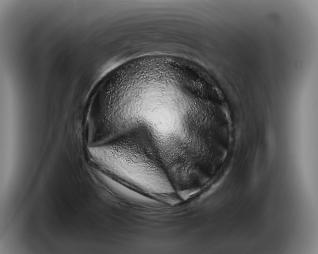 X0000085781505200703301414