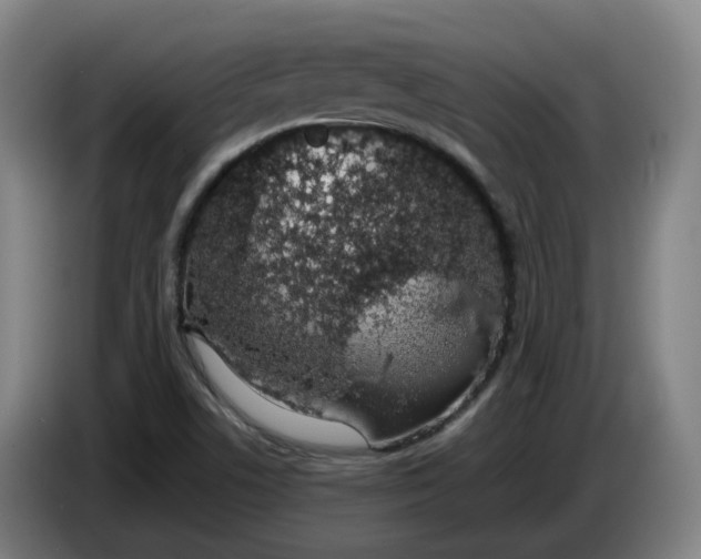 X0000085781506200703301414