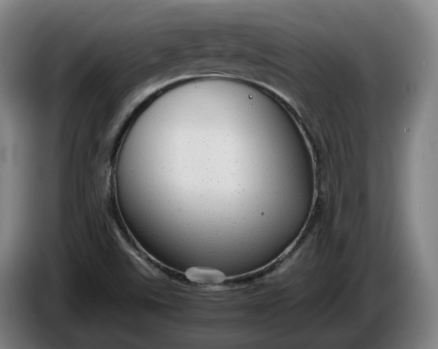 X0000085781507200703301414