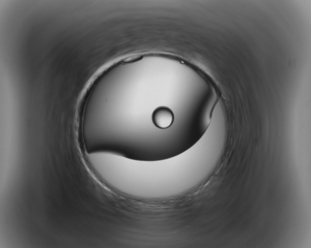 X0000085781508200703301414