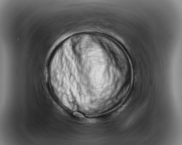 X0000085781509200703301414