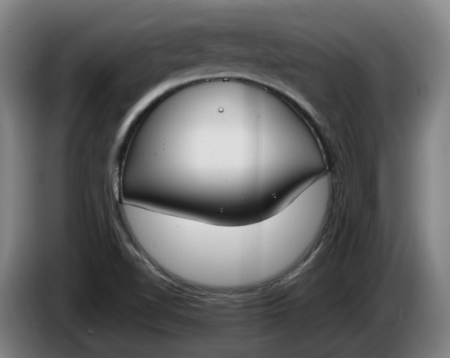 X0000085781510200703301414