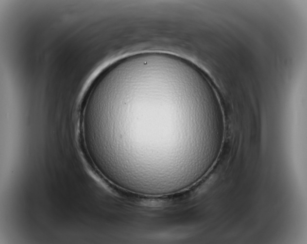 X0000085781511200703301414