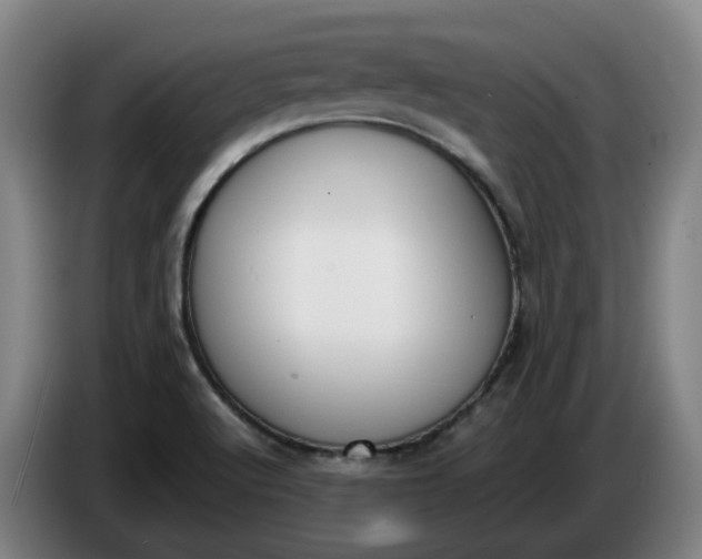 X0000085781512200703301414