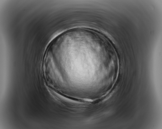 X0000085781513200703301414