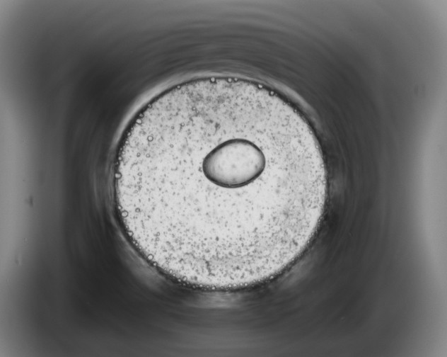 X0000085781514200703301414