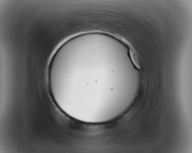 X0000085781516200703301414