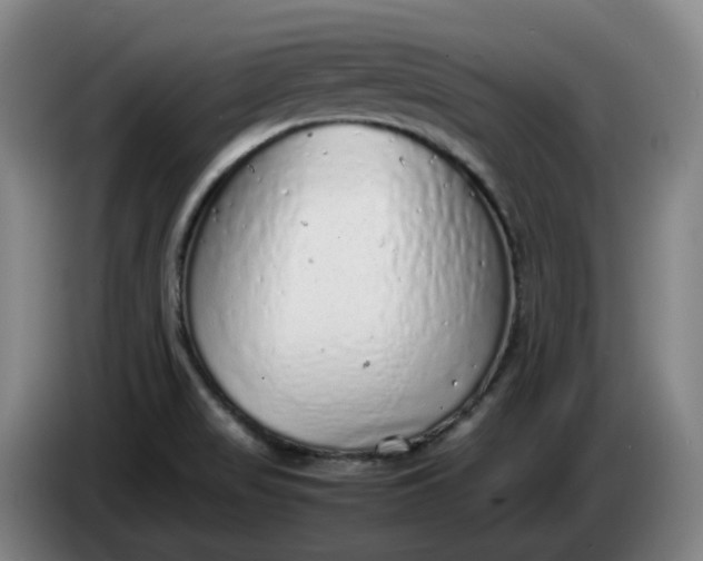 X0000085781517200703301414