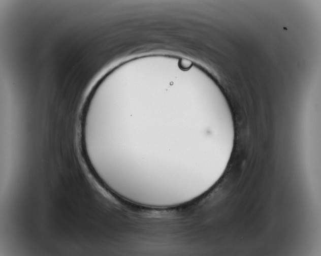 X0000085781518200703301414