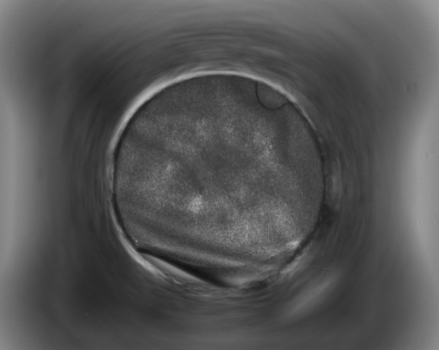 X0000085781519200703301414