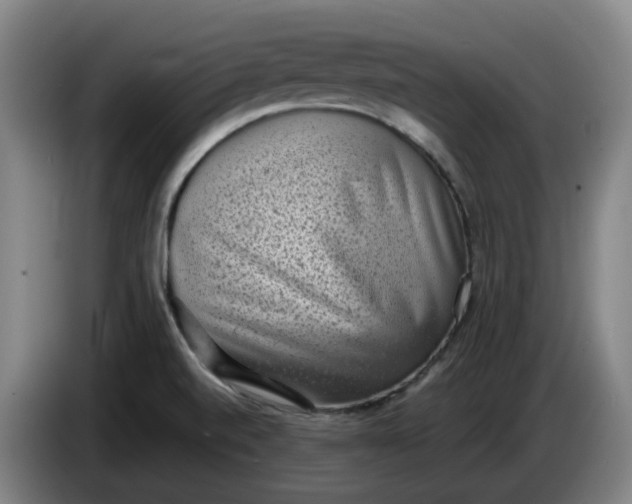 X0000085781520200703301414