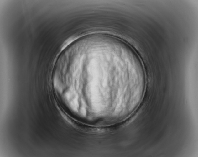 X0000085781521200703301414