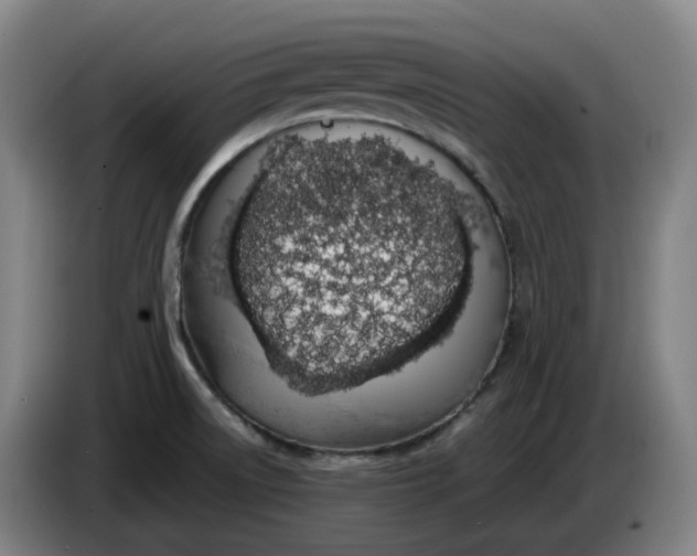 X0000085781522200703301414