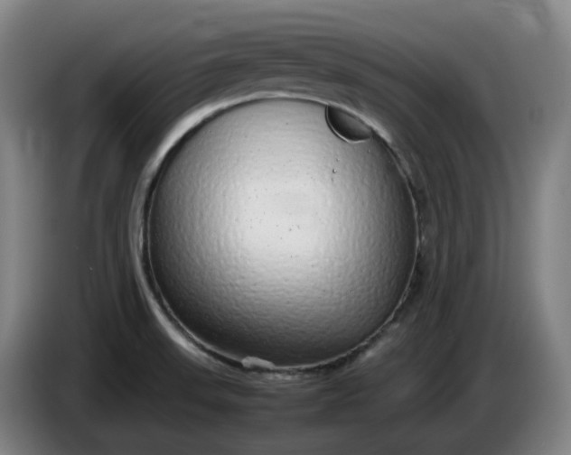 X0000085781523200703301414