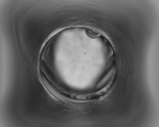 X0000085781525200703301414