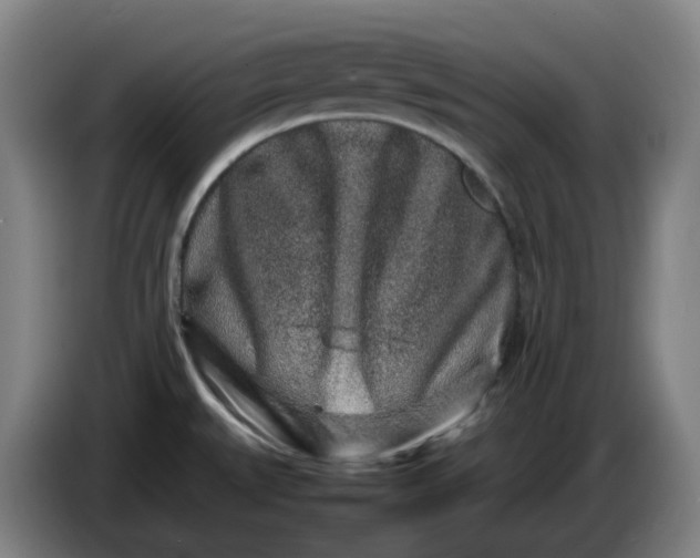 X0000085781527200703301414