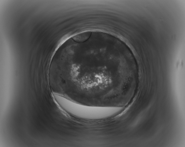 X0000085781529200703301414