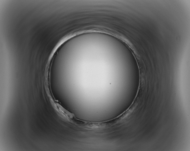 X0000085781530200703301414