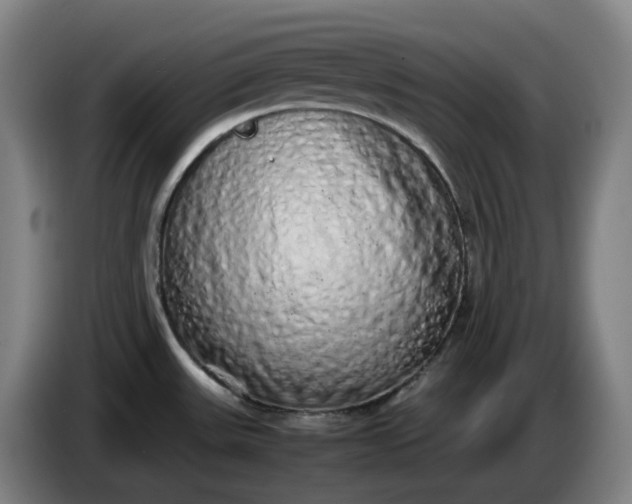 X0000085781531200703301414