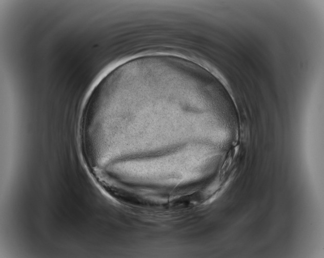 X0000085781533200703301414