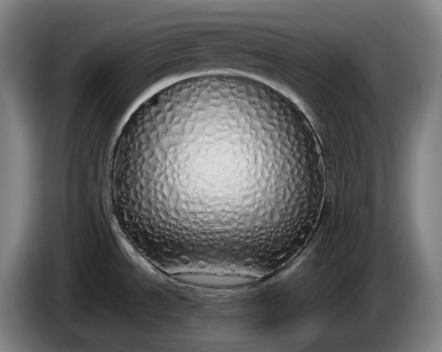 X0000085781534200703301414