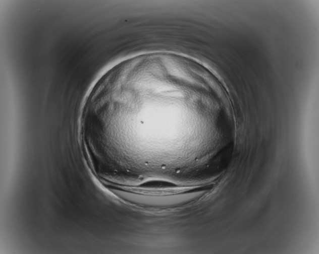 X0000085781535200703301414