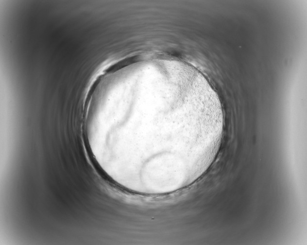 X0000085780003200704091420