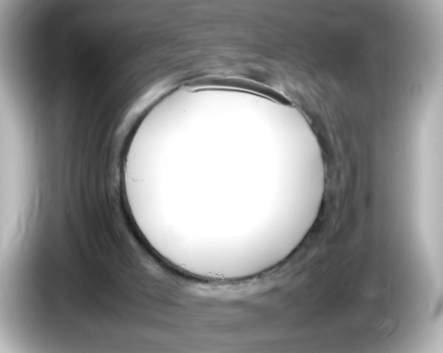 X0000085780005200704091420