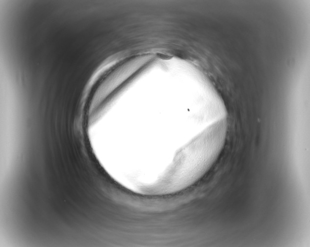 X0000085780006200704091420