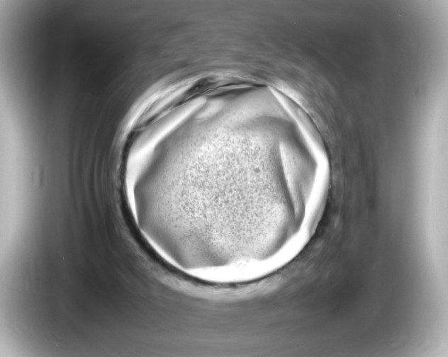 X0000085780007200704091420