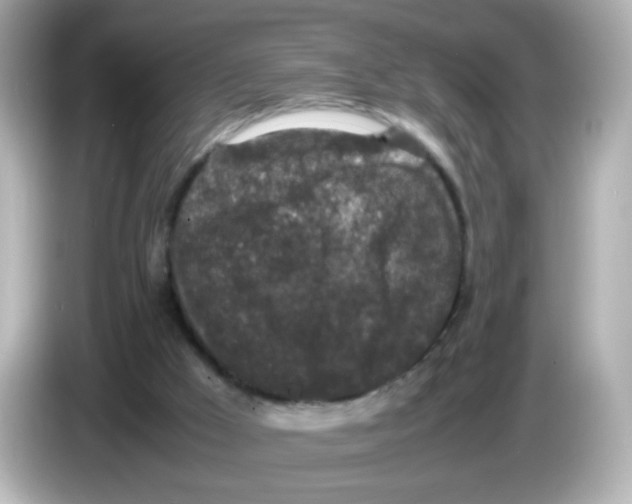 X0000085780009200704091420