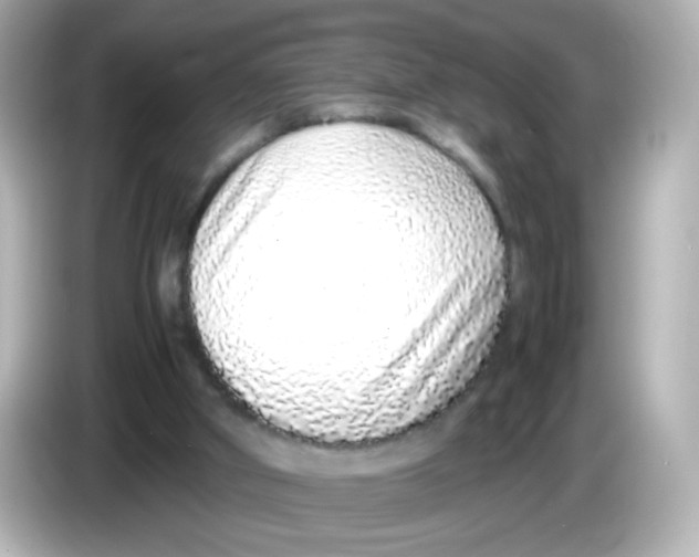 X0000085780010200704091420