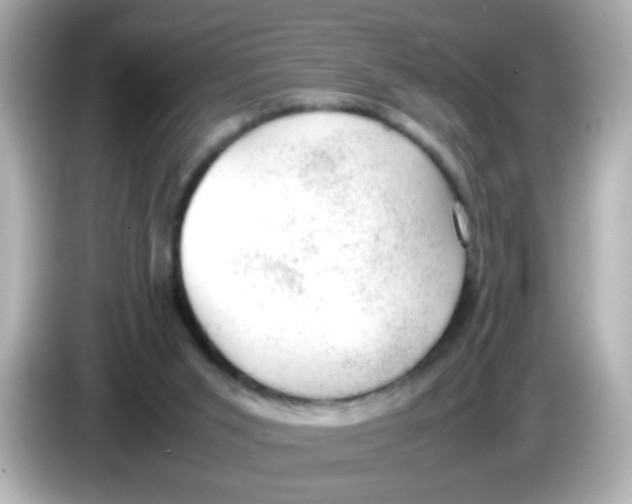 X0000085780015200704091420