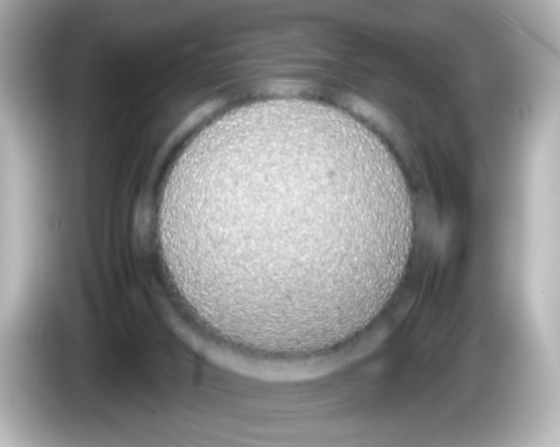 X0000085780016200704091420