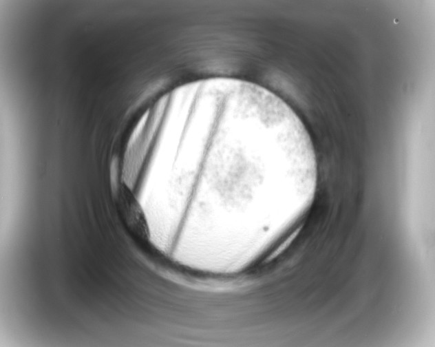 X0000085780020200704091420