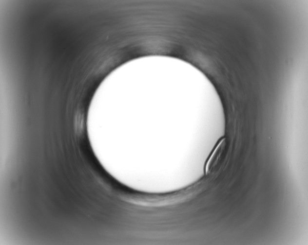 X0000085780021200704091420