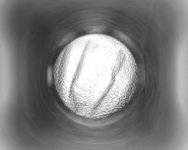 X0000085780022200704091420