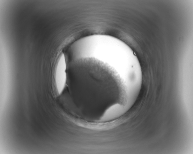 X0000085780023200704091420