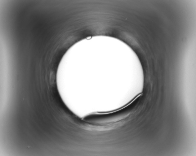 X0000085780025200704091420