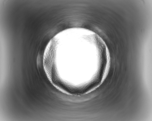 X0000085780026200704091420