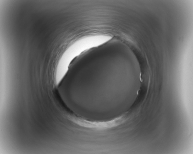 X0000085780031200704091420